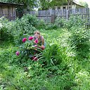  , -, 47  -  12  2013    