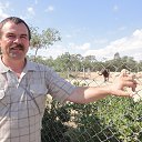 ���� ����, ��������, 63 ���� - ��������� 31 ������� 2013