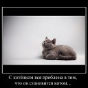 ���� ������, ������, 60 ��� - ��������� 2 ������ 2013
