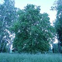 ���� Aleks, ����� ������� - ��������� 9 ������� 2014 � ������ ����� ������������