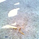 ���� Gennadii, ������� - ��������� 26 �������� 2013 � ������ ���� ����������