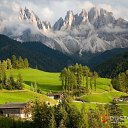 ���� Dalik, ������, 36 ��� - ��������� 28 ������� 2014 � ������ ������ ��������