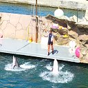 ���� Anatolij, �����, 74 ���� - ��������� 13 ������� 2013 � ������ ������ 2013�