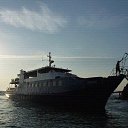 �.�������� �� ������� �������