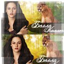 ���� ����, Los Angeles, 43 ���� - ��������� 13 ������� 2013 � ������ ���� ����������