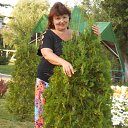 ���� ��������, ���������, 64 ���� - ��������� 14 ������� 2013 � ������ ���� ����������