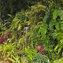 ���� Dreamcatcher, ����� - ��������� 5 ������ 2013 � ������ ����))�