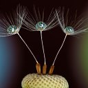 ���� ����, �������� - ��������� 4 �������� 2013 � ������ ��������, �����������