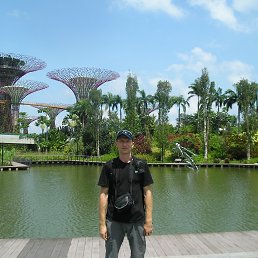 ������, �����������, 46 ���