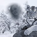 ���� �����, ����, 47 ��� - ��������� 6 ������ 2013 � ������ ������ ��