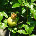 ���� ������, ������, 51 ��� - ��������� 14 ������� 2013 � ������ ���� ����������