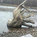 ���� �������, �������, 42 ���� - ��������� 17 ������ 2013 � ������ ������ �������