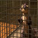 ���� ����, �������� - ��������� 15 ����� 2014 � ������ ��������� �����