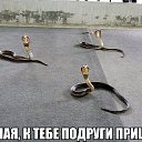 ���� ����, ������ - ��������� 12 ������ 2014 � ������ ���� ����������