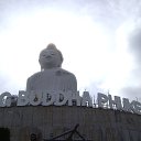 ���� ����, �����������, 49 ��� - ��������� 24 ������ 2013 � ������ ���� ����������