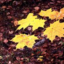 ���� �����, �����, 64 ���� - ��������� 30 ������ 2013 � ������ ��Ψ�