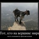 ���� �����, ��������, 59 ��� - ��������� 14 ����� 2014 � ������ ������ ��������