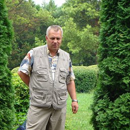 ���� ���������, �����-���������, 62 ���� - ��������� 4 ������ 2014