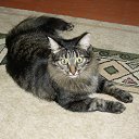 ���� �������, ���������� - ��������� 29 �������� 2013 � ������ ���� ����������