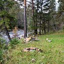 ���� Svann, ���������, 71 ��� - ��������� 18 �������� 2013 � ������ �������� �����