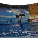 ���� ���, ���������������, 51 ��� - ��������� 5 ������� 2013 � ������ ���� ����������