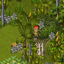 ���� ��������, ����������� - ��������� 27 ������� 2013 � ������ �Tropikania�