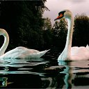 ���� ���������, ������, 65 ��� - ��������� 28 ������ 2014