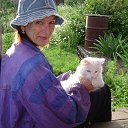 ���� �������, ������� - ��������� 29 ������� 2013