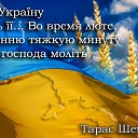 ���� ����, �����, 37 ��� - ��������� 28 ������� 2014 � ������ ������ ��������