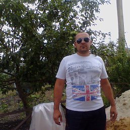 ���� ������, ��������, 43 ���� - ��������� 3 ������� 2013