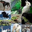 ���� ������ ��������, ������ - ��������� 1 ������ 2014 � ������ ���������