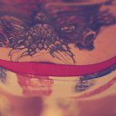 ���� �����, ������ - ��������� 2 ������� 2014 � ������ ���� ����������