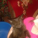 ���� ������, ����, 39 ��� - ��������� 6 ������� 2014