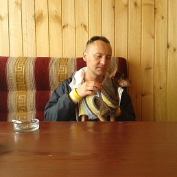 ���� �������, �����������, 56 ��� - ��������� 14 ������ 2013