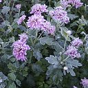 18 �������� 2013 ���� �� ������� ��������