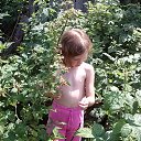 ���� �����, ������, 56 ��� - ��������� 25 ������� 2013 � ������ ����� - 2013�