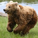  Oleg, , 51  -  9  2014