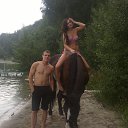 ���� ����, �����������, 34 ���� - ��������� 12 ������� 2013 � ������ ���� ����������