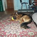 ���� ������, �����-��������� - ��������� 13 ����� 2014 � ������ ������ ��������