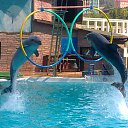 ���� �������, ������, 52 ���� - ��������� 26 ������� 2013 � ������ ���� ����������