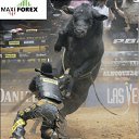 ���� �������, ���������, 48 ��� - ��������� 23 ������� 2014 � ������ ���� ����������