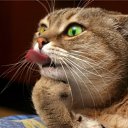 ���� ����, ������ ��������, 46 ��� - ��������� 28 ������� 2013 � ������ ���� ����������