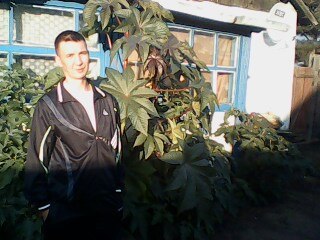 ����, ���������, 49 ���