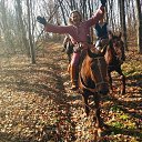 ���� ��������, �����, 72 ���� - ��������� 4 ������� 2013 � ������ ���� ����������