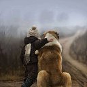 ���� Archil, �������, 50 ��� - ��������� 2 ����� 2014