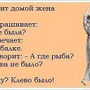 , , 52  -  3  2013   