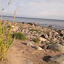 ���� �������, �����-���������, 71 ��� - ��������� 8 ������� 2013