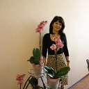 ���� �����, ���������, 53 ���� - ��������� 24 ������� 2013