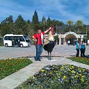 ���� ��������, �����������, 56 ��� - ��������� 25 ������� 2014 � ������ ��������