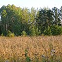 ���� ����, ��������, 52 ���� - ��������� 1 �������� 2013 � ������ ���� ����������